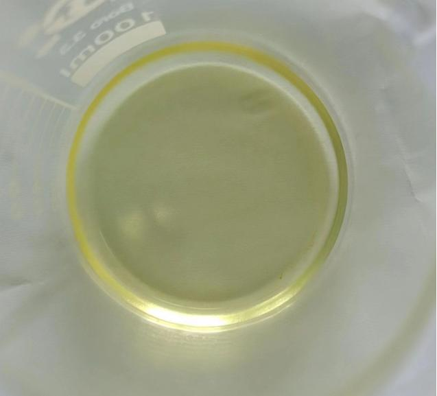 Sample after digestion