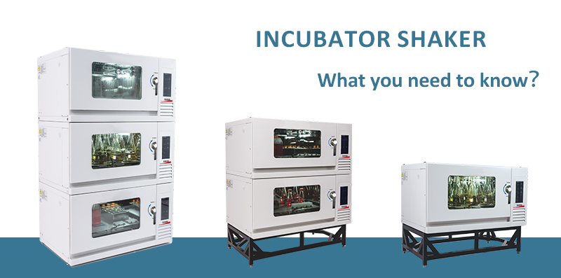 shaker incubator