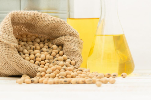 soybean oil