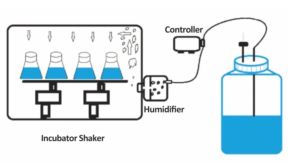 With humidification reservoir