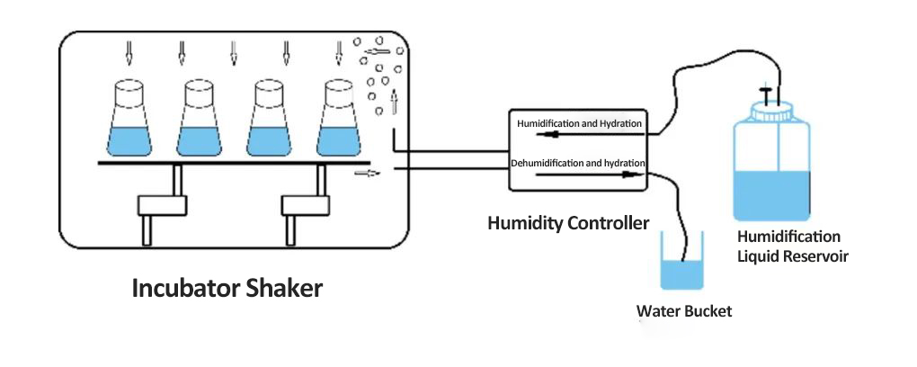 Active humidity controller