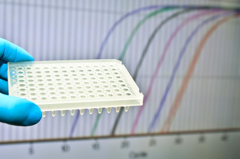 ELISA experiment