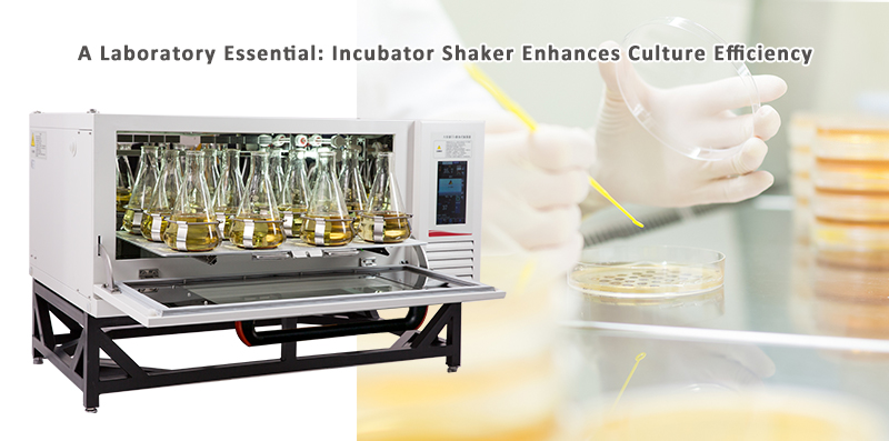 incubator shaker